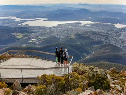 Full-Day Guided Tour of Mt Wellington with Tickets to MONA